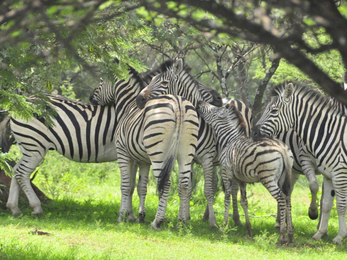 Kwalata Game Lodge Klipdrift Eksteriør billede